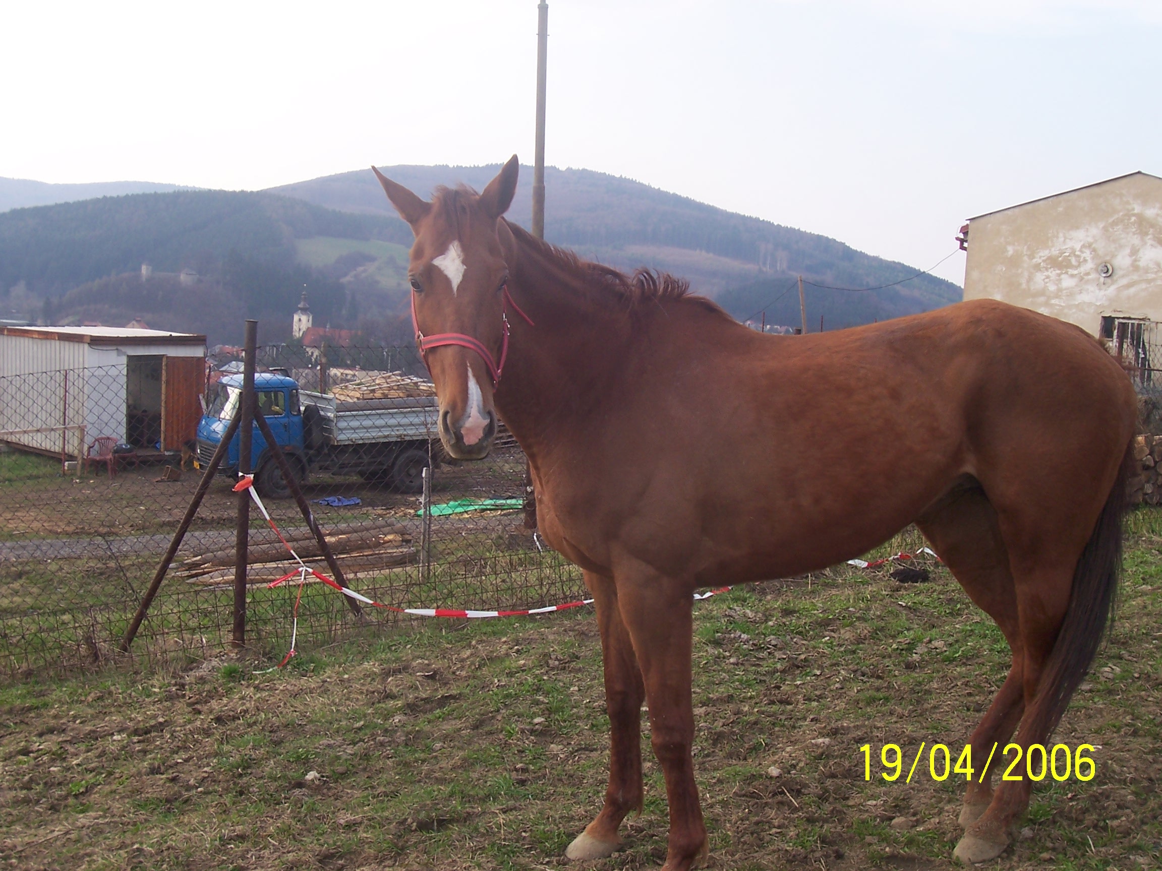 Snímek 010.jpg